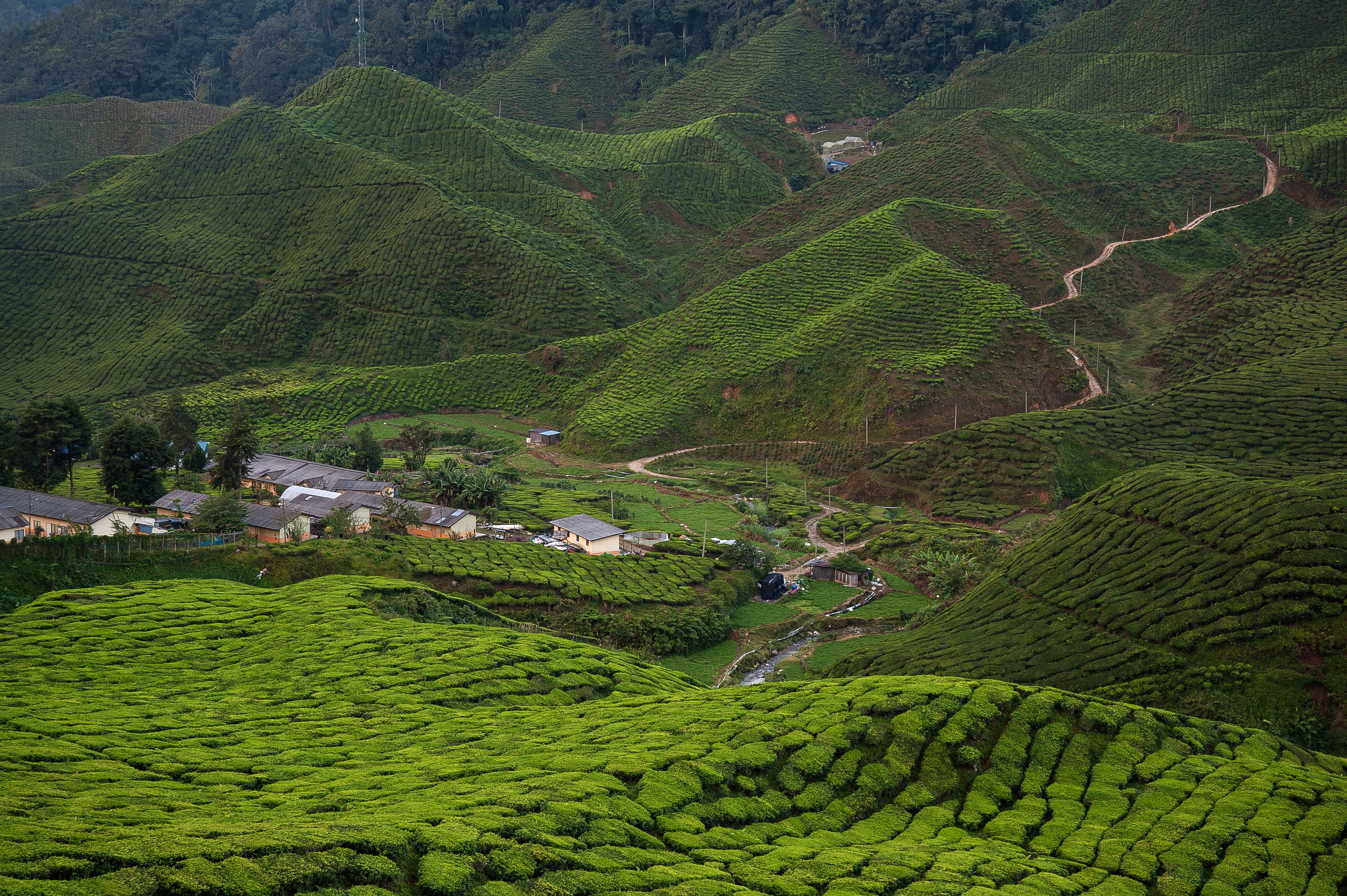 Malaysia